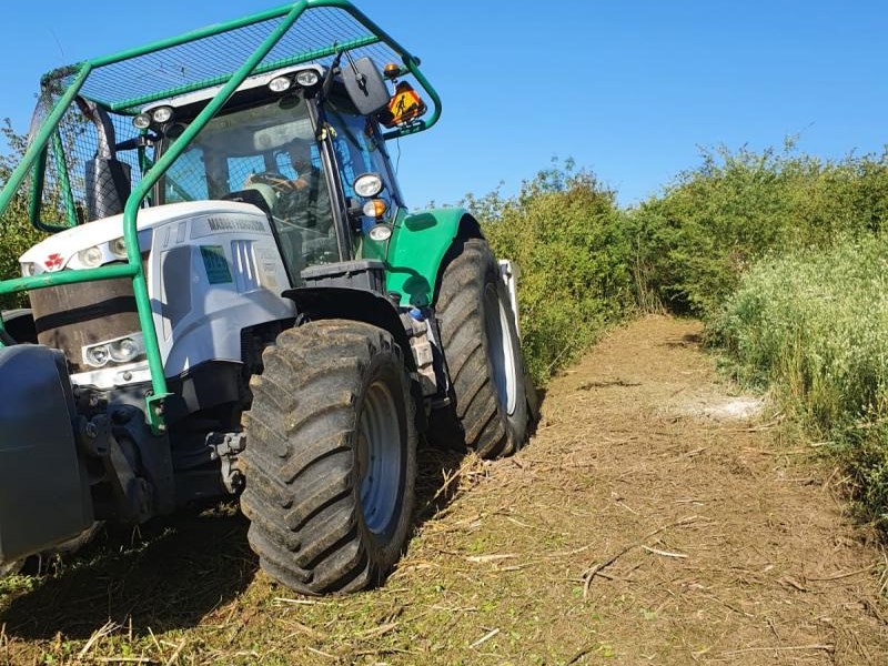 Broyage forestier pour le compte de Grand Paris Aménagement (91)