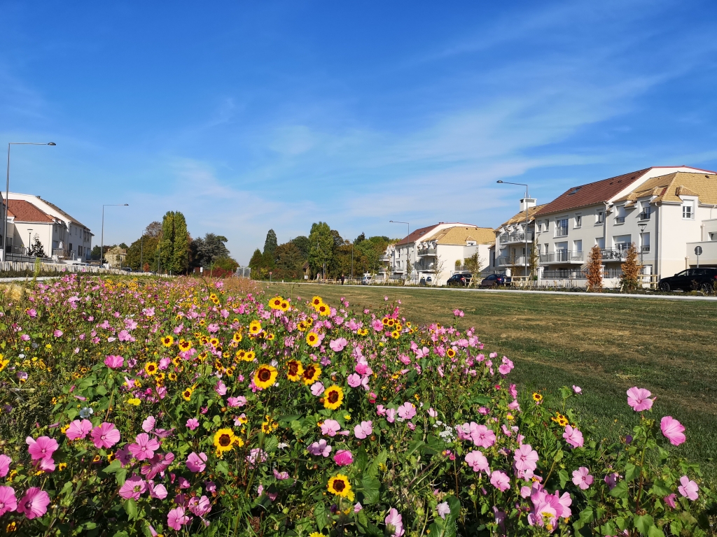 Marolles en Hurepoix - Aménagement de l'Avenue Agoutin