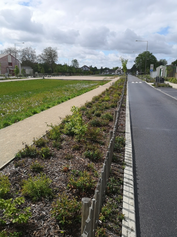 Marolles en Hurepoix - Aménagement de l'Avenue Agoutin