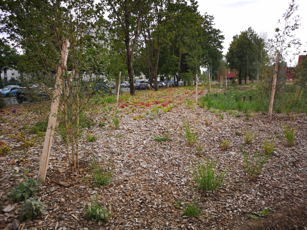 Orly - Aménagement du Parc Cachin